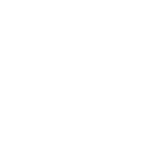 Boston-top-doctors Logo